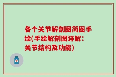 各个关节解剖图简图手绘(手绘解剖图详解：关节结构及功能)