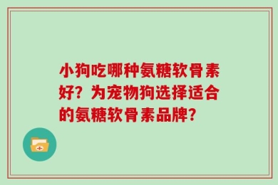 小狗吃哪种氨糖软骨素好？为宠物狗选择适合的氨糖软骨素品牌？
