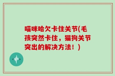 喵咪哈欠卡住关节(毛孩突然卡住，猫狗关节突出的解决方法！)