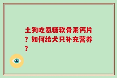 土狗吃氨糖软骨素钙片？如何给犬只补充营养？
