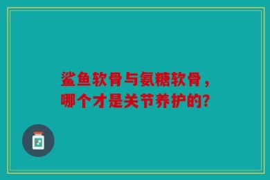 鲨鱼软骨与氨糖软骨，哪个才是关节养护的？