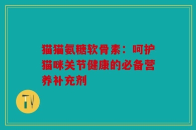 猫猫氨糖软骨素：呵护猫咪关节健康的必备营养补充剂