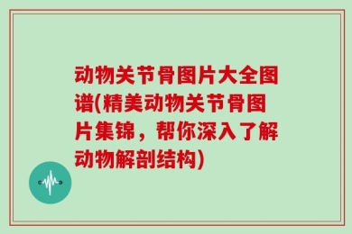 动物关节骨图片大全图谱(精美动物关节骨图片集锦，帮你深入了解动物解剖结构)