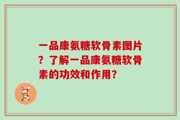 一品康氨糖软骨素图片？了解一品康氨糖软骨素的功效和作用？
