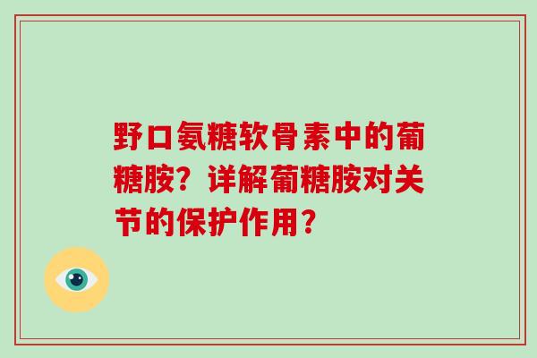 野口氨糖软骨素中的葡糖胺?详解葡糖胺对关节的保护作用? 野口氨糖软骨素中的葡糖胺?详解葡糖胺对关节的保护作用?