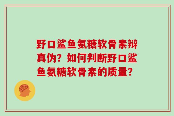 野口鲨鱼氨糖软骨素辩真伪?如何判断野口鲨鱼氨糖软骨素的质量? 野口鲨鱼氨糖软骨素辩真伪?如何判断野口鲨鱼氨糖软骨素的质量?