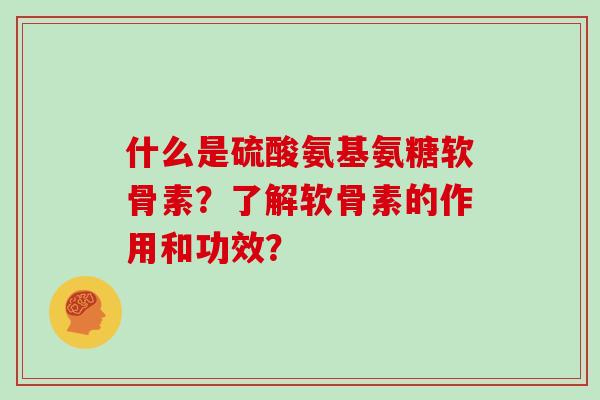 什么是硫酸氨基氨糖软骨素?了解软骨素的作用和功效? 什么是硫酸氨基氨糖软骨素?了解软骨素的作用和功效?