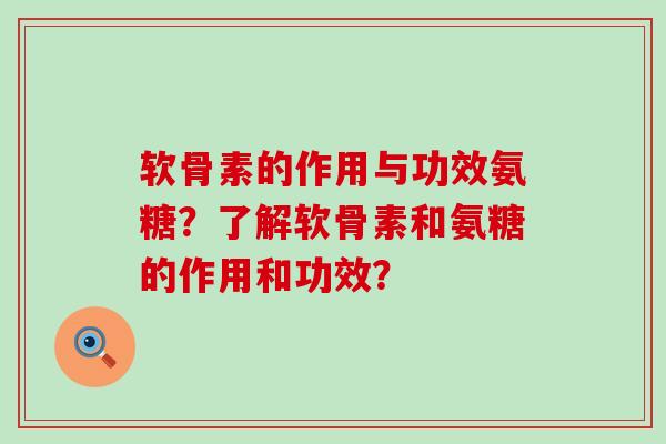 软骨素的作用与功效氨糖？了解软骨素和氨糖的作用和功效？