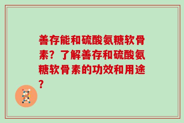 善存能和硫酸氨糖软骨素？了解善存和硫酸氨糖软骨素的功效和用途？