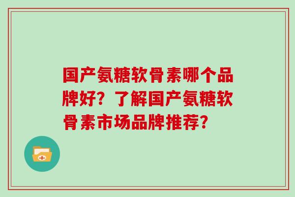 国产氨糖软骨素哪个品牌好？了解国产氨糖软骨素市场品牌推荐？