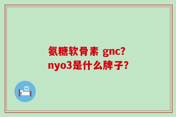 氨糖软骨素 gnc？nyo3是什么牌子？