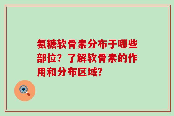 氨糖软骨素分布于哪些部位?了解软骨素的作用和分布区域? 氨糖软骨素分布于哪些部位?了解软骨素的作用和分布区域?