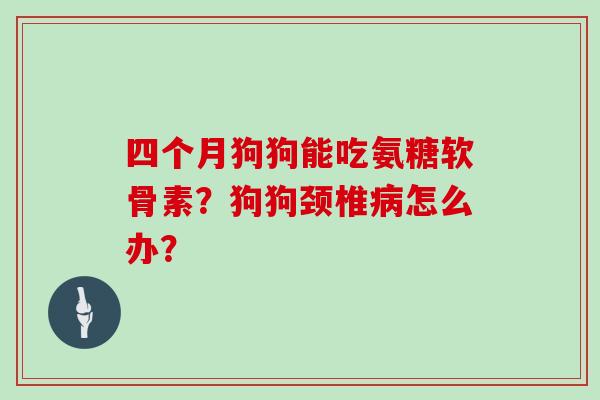 四个月狗狗能吃氨糖软骨素？狗狗颈椎怎么办？