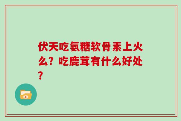 伏天吃氨糖软骨素上火么?吃鹿茸有什么好处? 伏天吃氨糖软骨素上火么?吃鹿茸有什么好处?