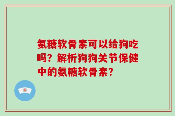 氨糖软骨素可以给狗吃吗?解析狗狗关节保健中的氨糖软骨素? 氨糖软骨素可以给狗吃吗?解析狗狗关节保健中的氨糖软骨素?