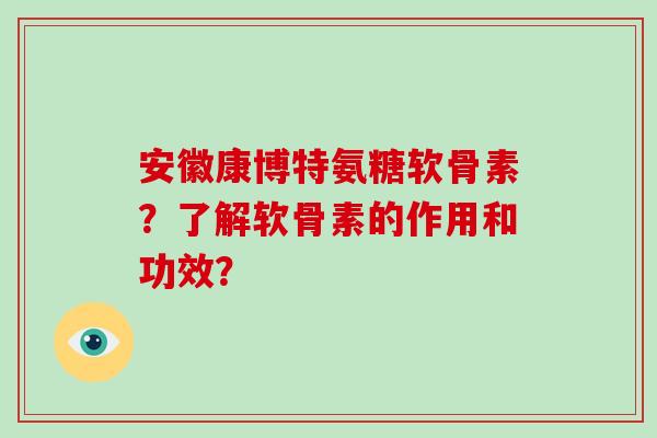 安徽康博特氨糖软骨素？了解软骨素的作用和功效？