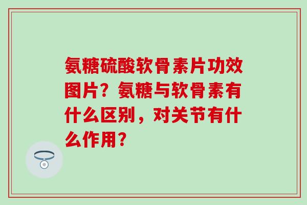 氨糖硫酸软骨素片功效图片？氨糖与软骨素有什么区别，对关节有什么作用？