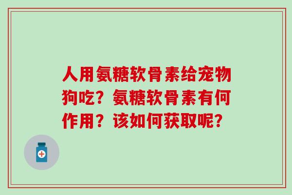 人用氨糖软骨素给宠物狗吃？氨糖软骨素有何作用？该如何获取呢？