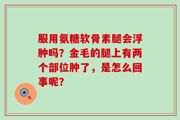 服用氨糖软骨素腿会浮肿吗?金毛的腿上有两个部位肿了,是怎么回事呢? 服用氨糖软骨素腿会浮肿吗?金毛的腿上有两个部位肿了,是怎么回事呢?