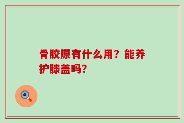 骨胶原有什么用？能养护膝盖吗？