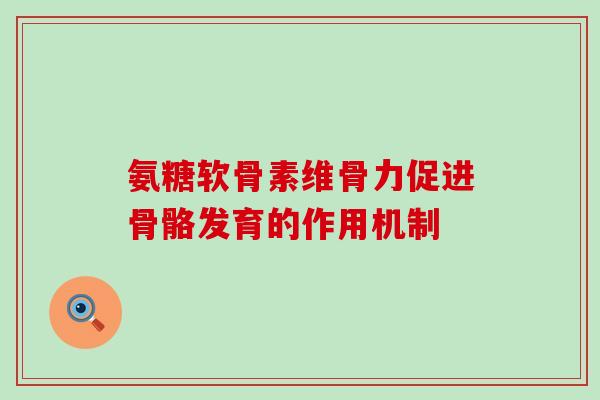 氨糖软骨素维骨力促进骨骼发育的作用机制 氨糖软骨素维骨力促进骨骼发育的作用机制