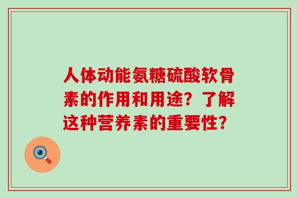 人体动能氨糖硫酸软骨素的作用和用途？了解这种营养素的重要性？