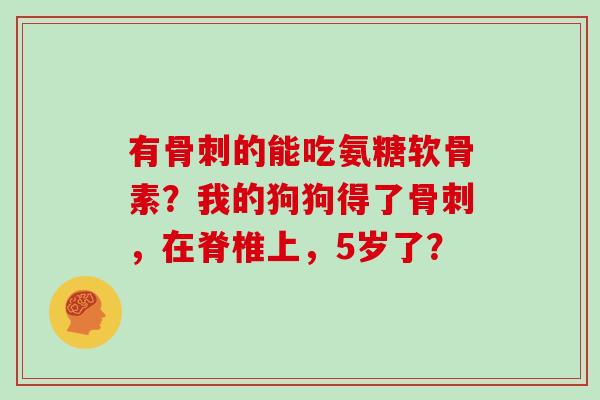 有的能吃氨糖软骨素？我的狗狗得了，在脊椎上，5岁了？