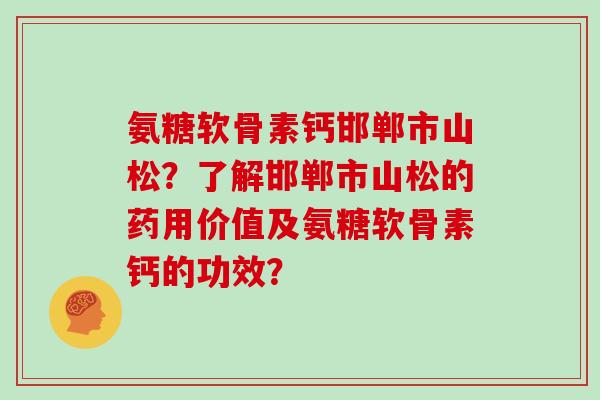 氨糖软骨素钙邯郸市山松？了解邯郸市山松的药用价值及氨糖软骨素钙的功效？