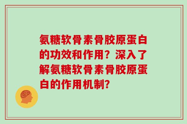 氨糖软骨素骨胶原蛋白的功效和作用?深入了解氨糖软骨素骨胶原蛋白的作用机制? 氨糖软骨素骨胶原蛋白的功效和作用?深入了解氨糖软骨素骨胶原蛋白的作用机制?