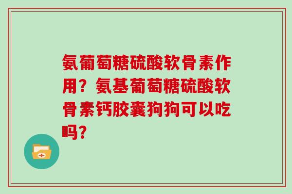 氨葡萄糖硫酸软骨素作用？氨基葡萄糖硫酸软骨素钙胶囊狗狗可以吃吗？