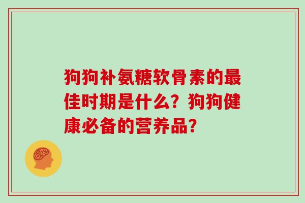 狗狗补氨糖软骨素的佳时期是什么?狗狗健康必备的营养品? 狗狗补氨糖软骨素的佳时期是什么?狗狗健康必备的营养品?