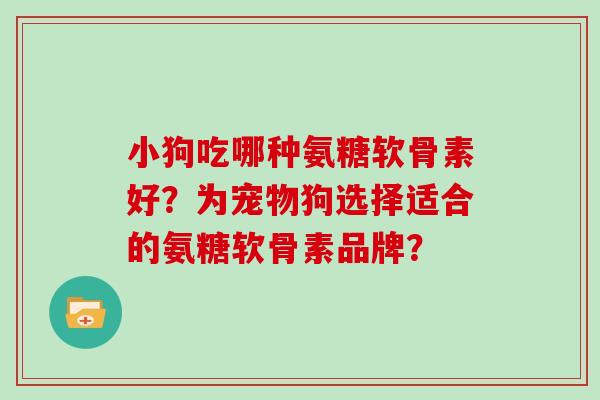 小狗吃哪种氨糖软骨素好?为宠物狗选择适合的氨糖软骨素品牌? 小狗吃哪种氨糖软骨素好?为宠物狗选择适合的氨糖软骨素品牌?