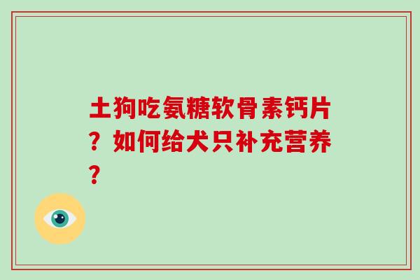 土狗吃氨糖软骨素钙片?如何给犬只补充营养? 土狗吃氨糖软骨素钙片?如何给犬只补充营养?