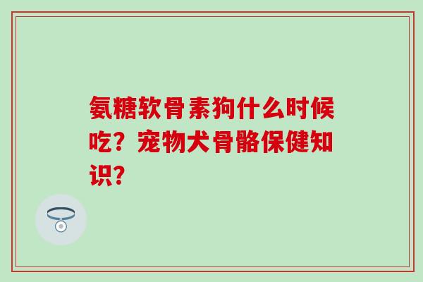 氨糖软骨素狗什么时候吃?宠物犬骨骼保健知识? 氨糖软骨素狗什么时候吃?宠物犬骨骼保健知识?