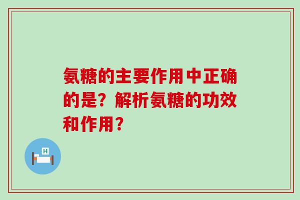 氨糖的主要作用中正确的是？解析氨糖的功效和作用？