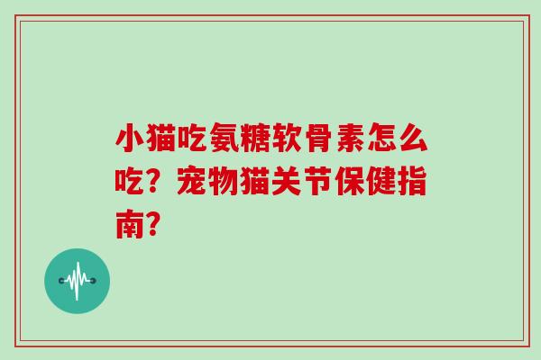 小猫吃氨糖软骨素怎么吃？宠物猫关节保健指南？