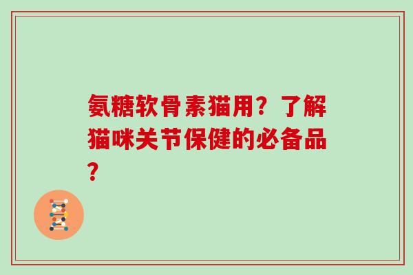 氨糖软骨素猫用?了解猫咪关节保健的必备品? 氨糖软骨素猫用?了解猫咪关节保健的必备品?
