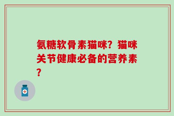 氨糖软骨素猫咪？猫咪关节健康必备的营养素？