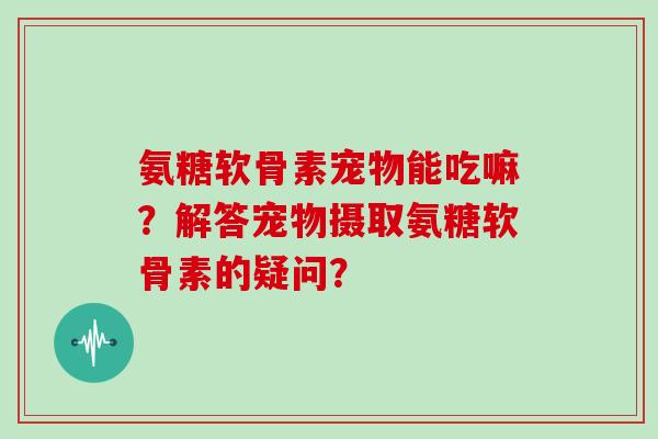 氨糖软骨素宠物能吃嘛?解答宠物摄取氨糖软骨素的疑问? 氨糖软骨素宠物能吃嘛?解答宠物摄取氨糖软骨素的疑问?