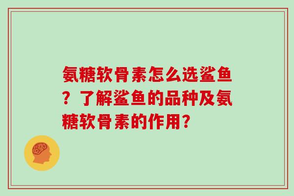 氨糖软骨素怎么选鲨鱼?了解鲨鱼的品种及氨糖软骨素的作用? 氨糖软骨素怎么选鲨鱼?了解鲨鱼的品种及氨糖软骨素的作用?