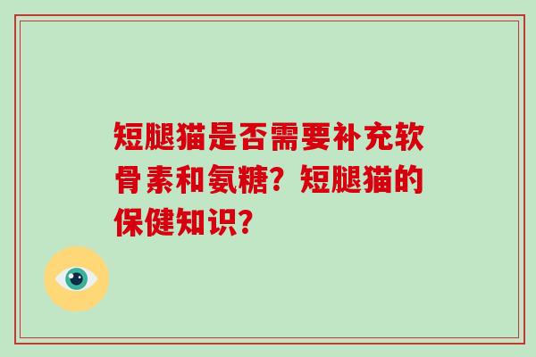 短腿猫是否需要补充软骨素和氨糖?短腿猫的保健知识? 短腿猫是否需要补充软骨素和氨糖?短腿猫的保健知识?