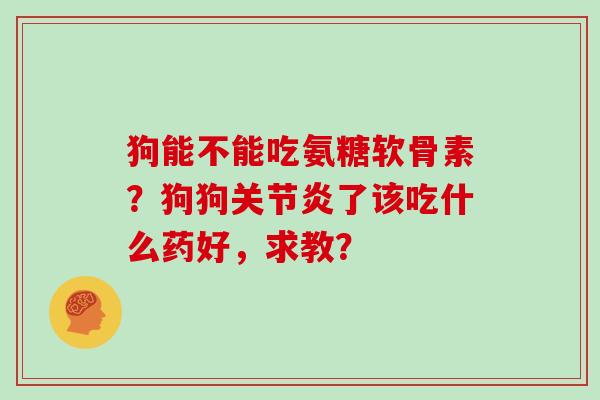 狗能不能吃氨糖软骨素?狗狗了该吃什么药好,求教? 狗能不能吃氨糖软骨素?狗狗了该吃什么药好,求教?