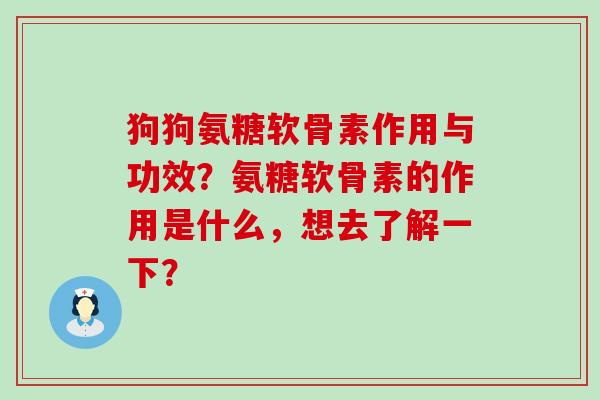 狗狗氨糖软骨素作用与功效?氨糖软骨素的作用是什么,想去了解一下? 狗狗氨糖软骨素作用与功效?氨糖软骨素的作用是什么,想去了解一下?