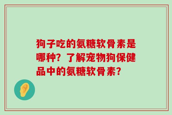 狗子吃的氨糖软骨素是哪种？了解宠物狗保健品中的氨糖软骨素？