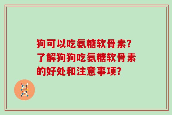 狗可以吃氨糖软骨素?了解狗狗吃氨糖软骨素的好处和注意事项? 狗可以吃氨糖软骨素?了解狗狗吃氨糖软骨素的好处和注意事项?