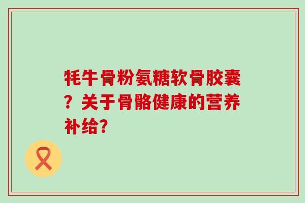 牦牛骨粉氨糖软骨胶囊？关于骨骼健康的营养补给？
