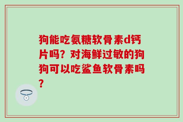 狗能吃氨糖软骨素d钙片吗？对海鲜的狗狗可以吃鲨鱼软骨素吗？