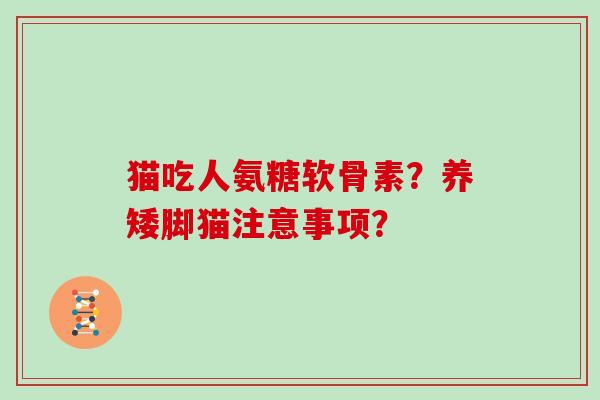 猫吃人氨糖软骨素?养矮脚猫注意事项? 猫吃人氨糖软骨素?养矮脚猫注意事项?