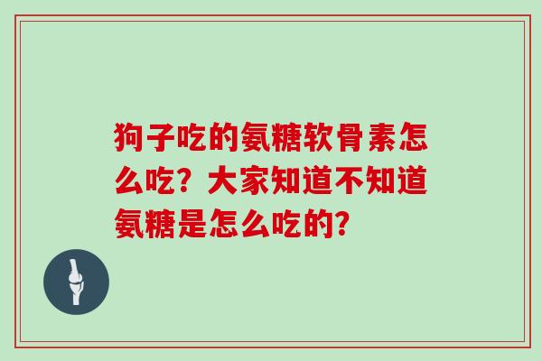 狗子吃的氨糖软骨素怎么吃？大家知道不知道氨糖是怎么吃的？