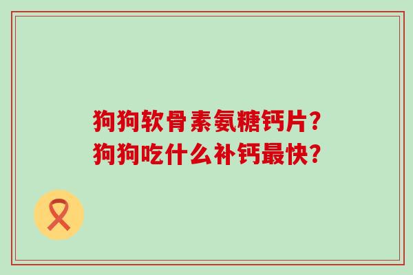 狗狗软骨素氨糖钙片？狗狗吃什么补钙快？